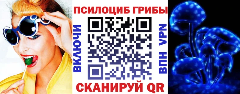 OMG как зайти  Кострома  Галлюциногенные грибы Psilocybine cubensis 
